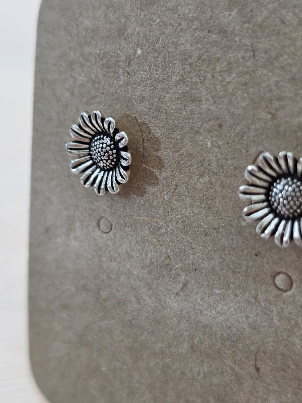 Brinco em Prata 925 bp02